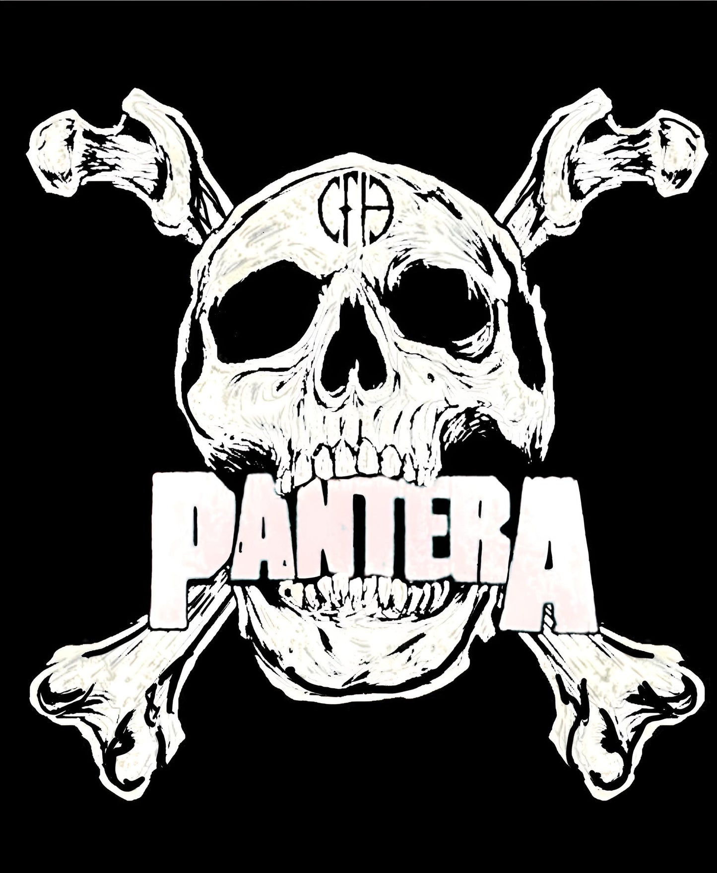 Pantera Premium Vinyl Decal. Vinnie, Dimebag, Walk, Cemetary Gates, Cowboys from Hell, Heavy Metal, Rock